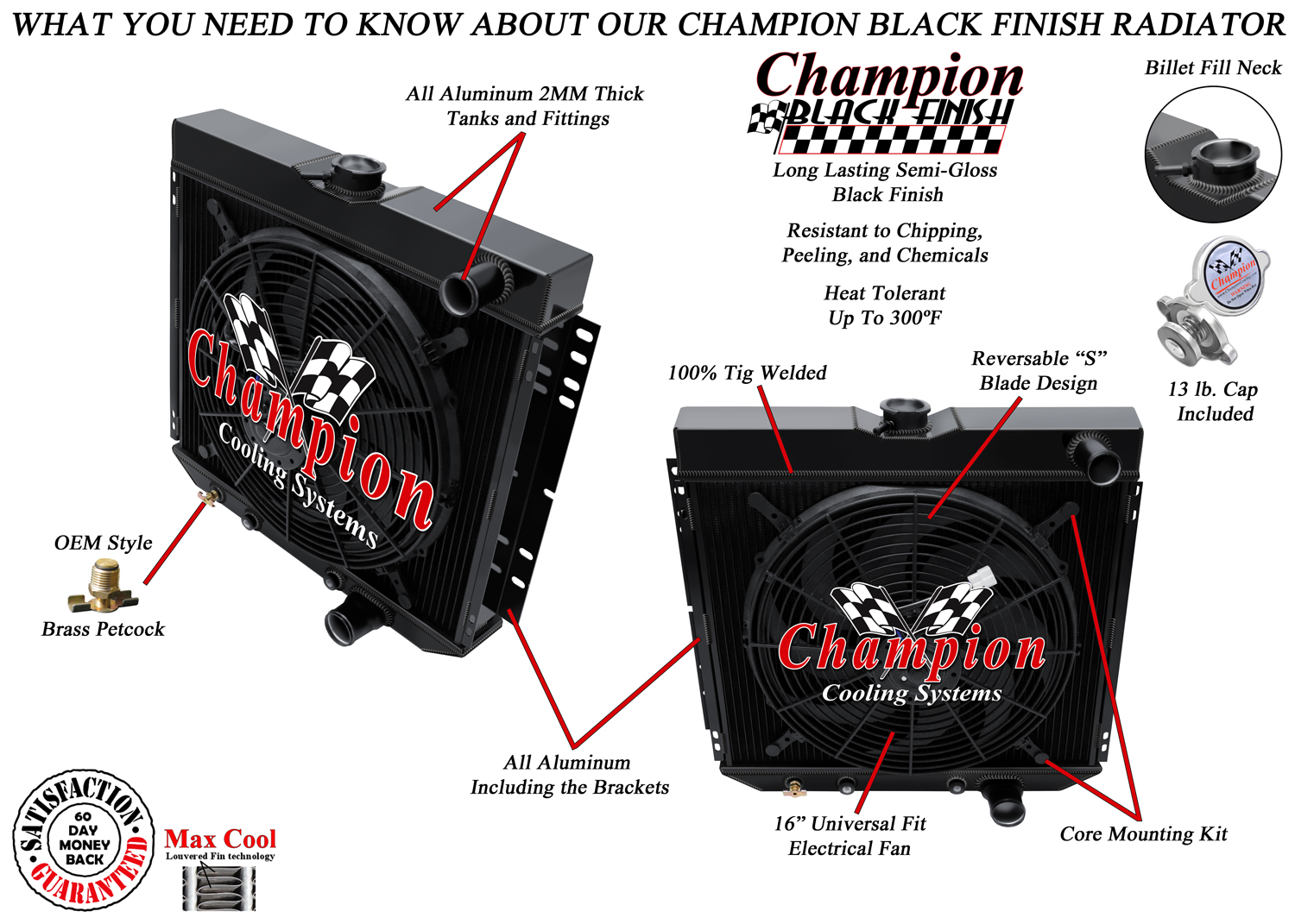 RN 3 Row Black Finish Radiator Lowhose Pass 20",16" Fan for 1967-1970 Mustang